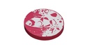 Water Fun Frisbee