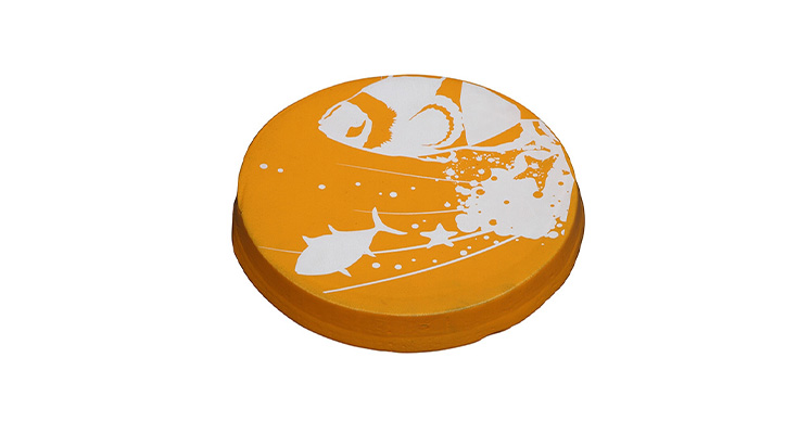 Water Fun Frisbee