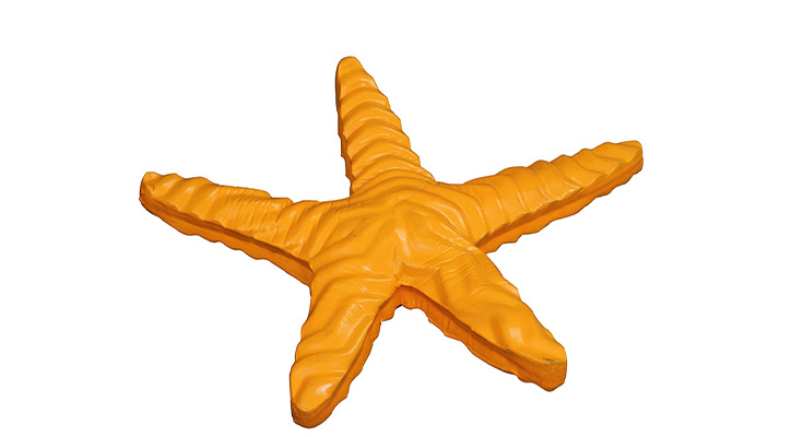 Water Fun Starfish