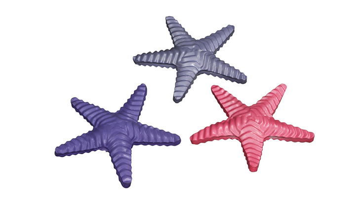 Water Fun Starfish